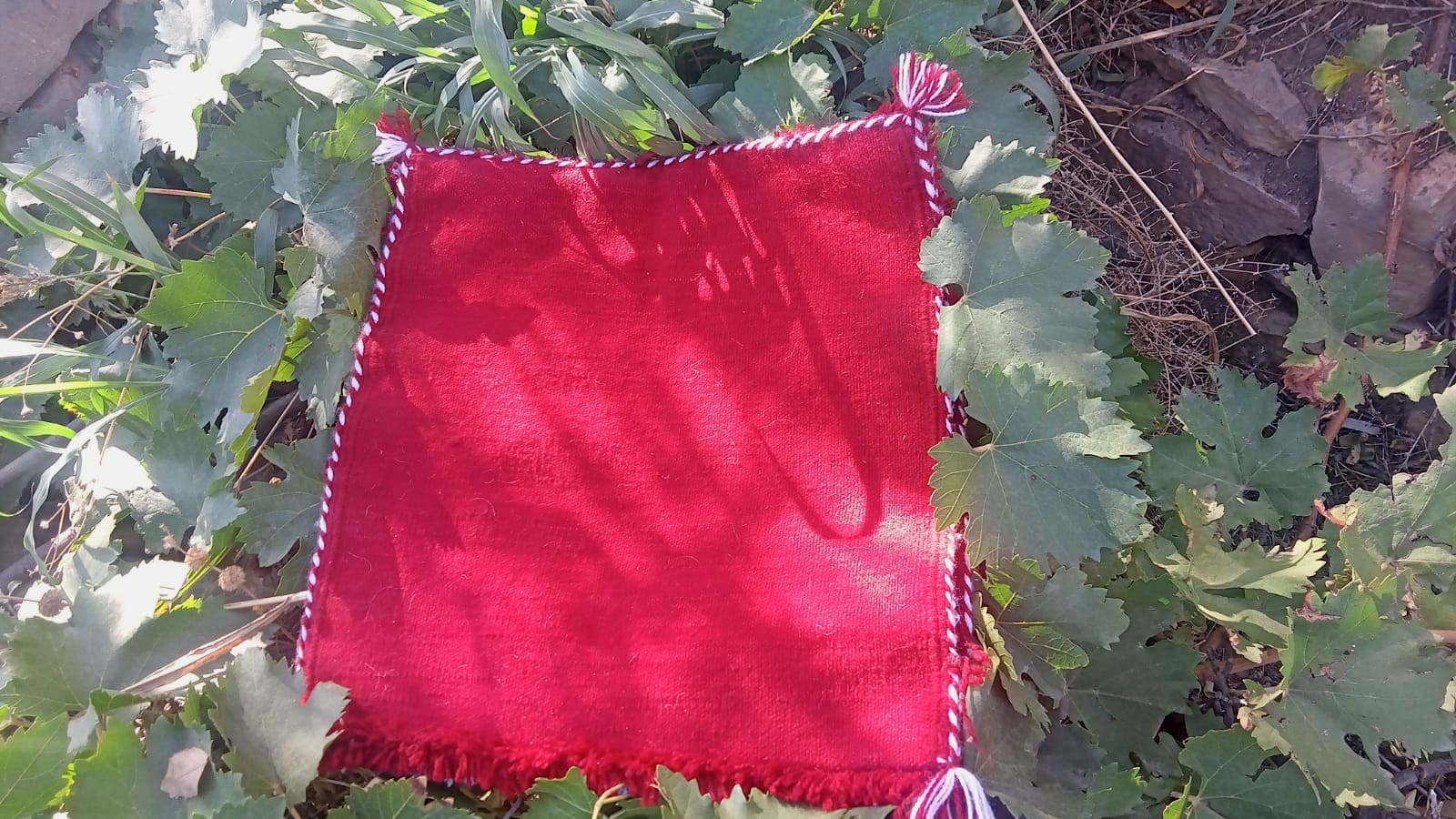  Cushions  Red, Blue Morocco