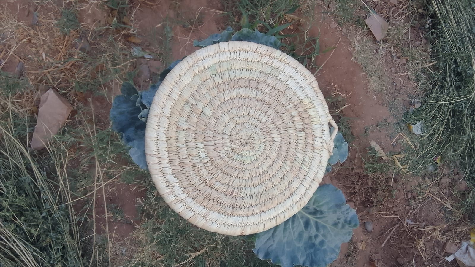  Woven Basket   Morocco