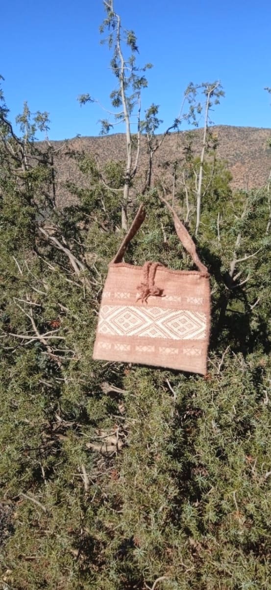  Pillow  Orange, White Morocco