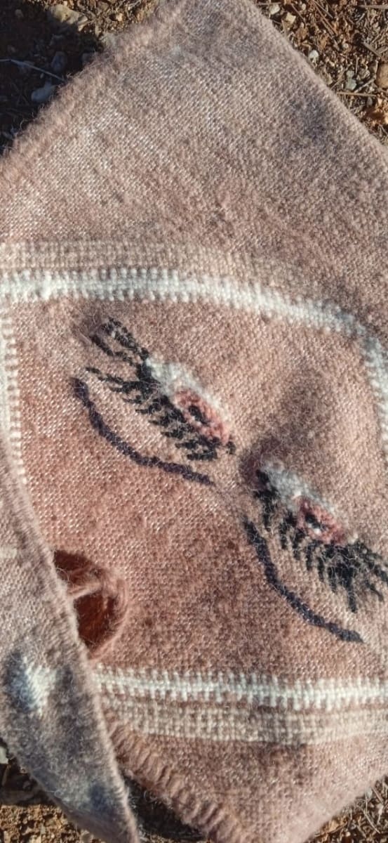  Pillow  Orange, White Morocco