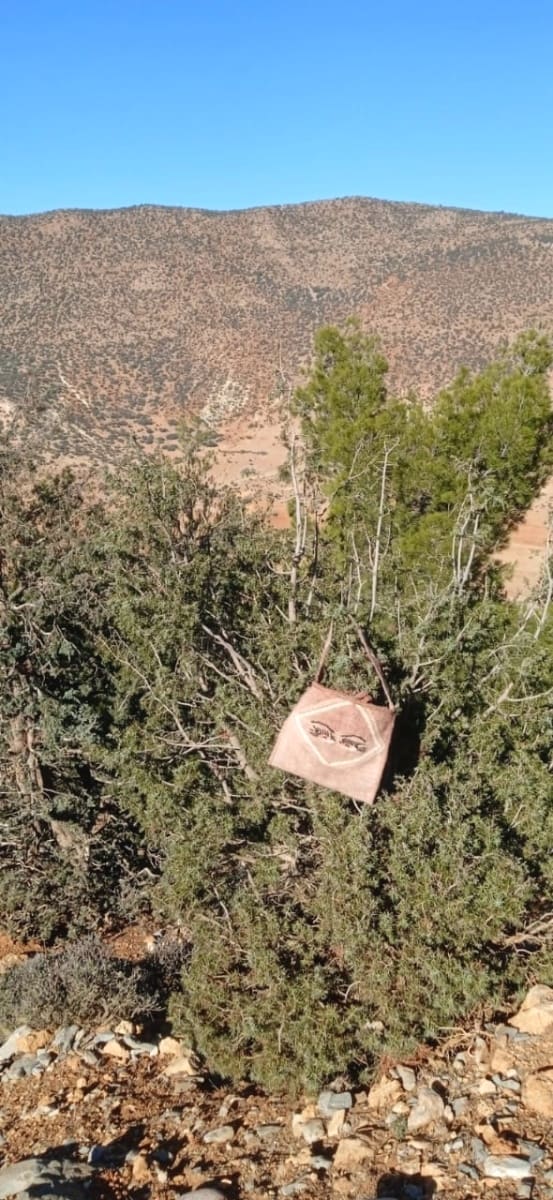  Pillow  Orange, White Morocco