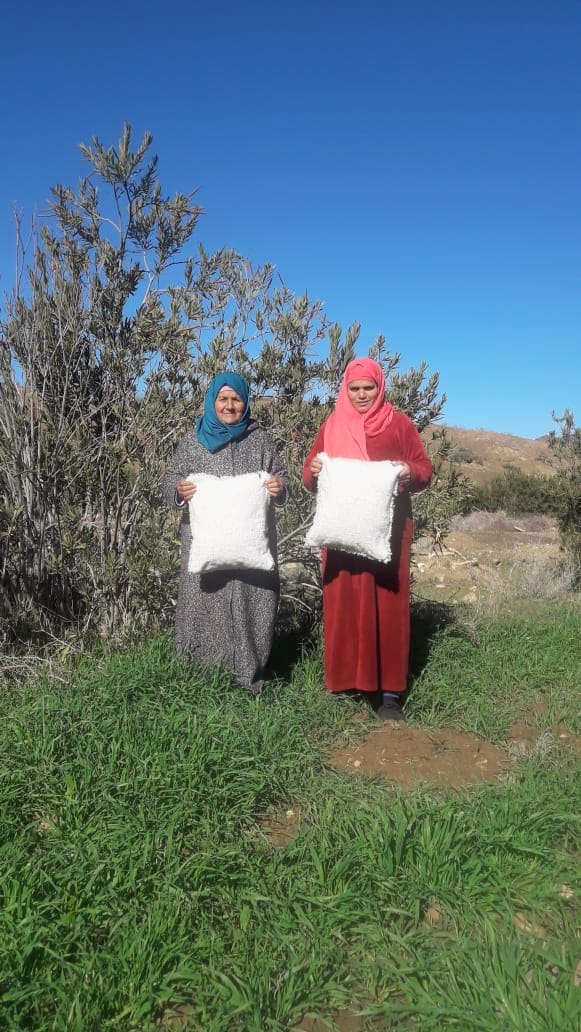  Pillow Cotton and Tadout - Wool Colored Morocco