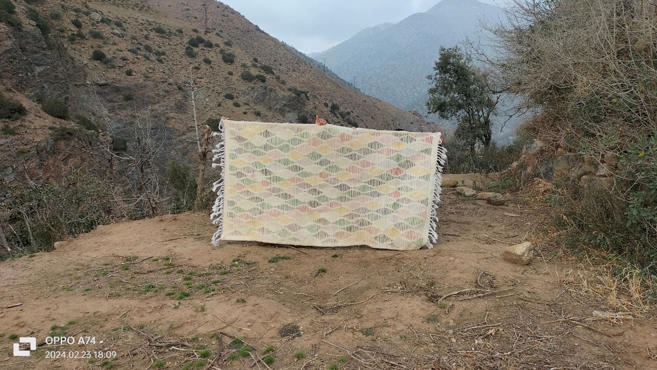 Handmade pileknot rug