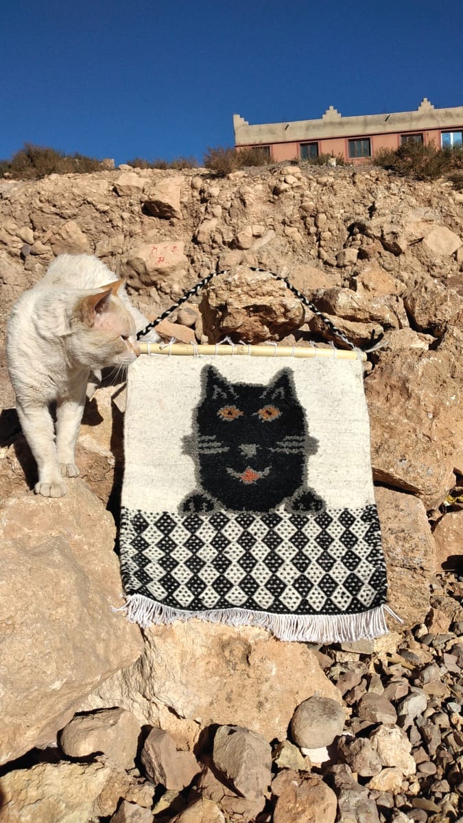 Flatweave and Pileknot rug