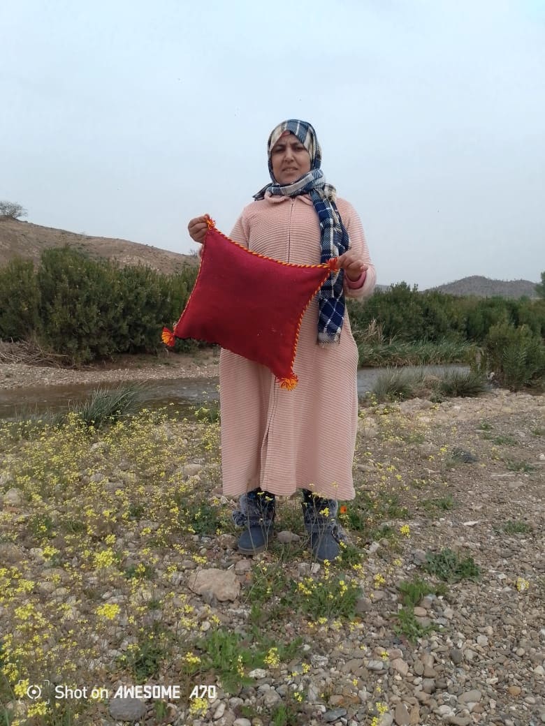 Pillow of wool