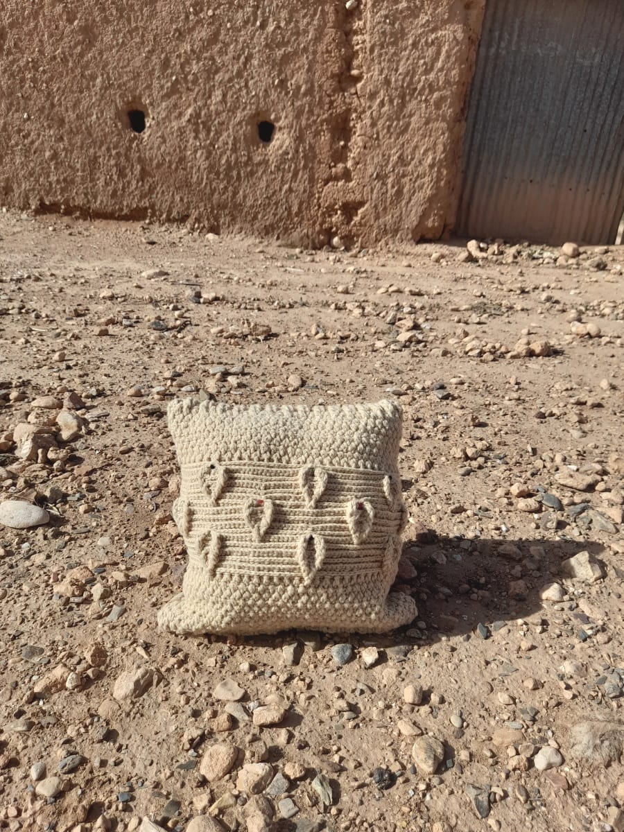  Pillow  Brown Morocco