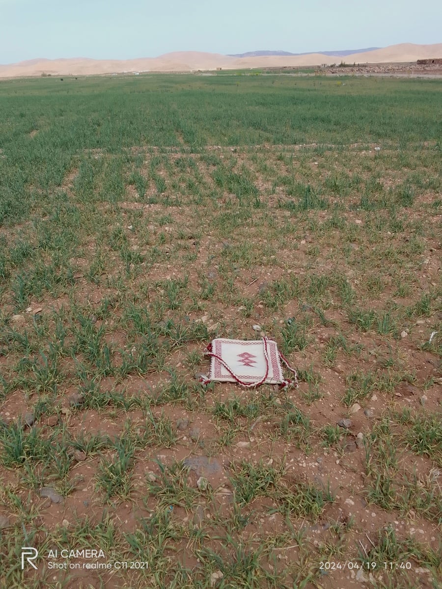  Woven bag Warp and White wool White Morocco