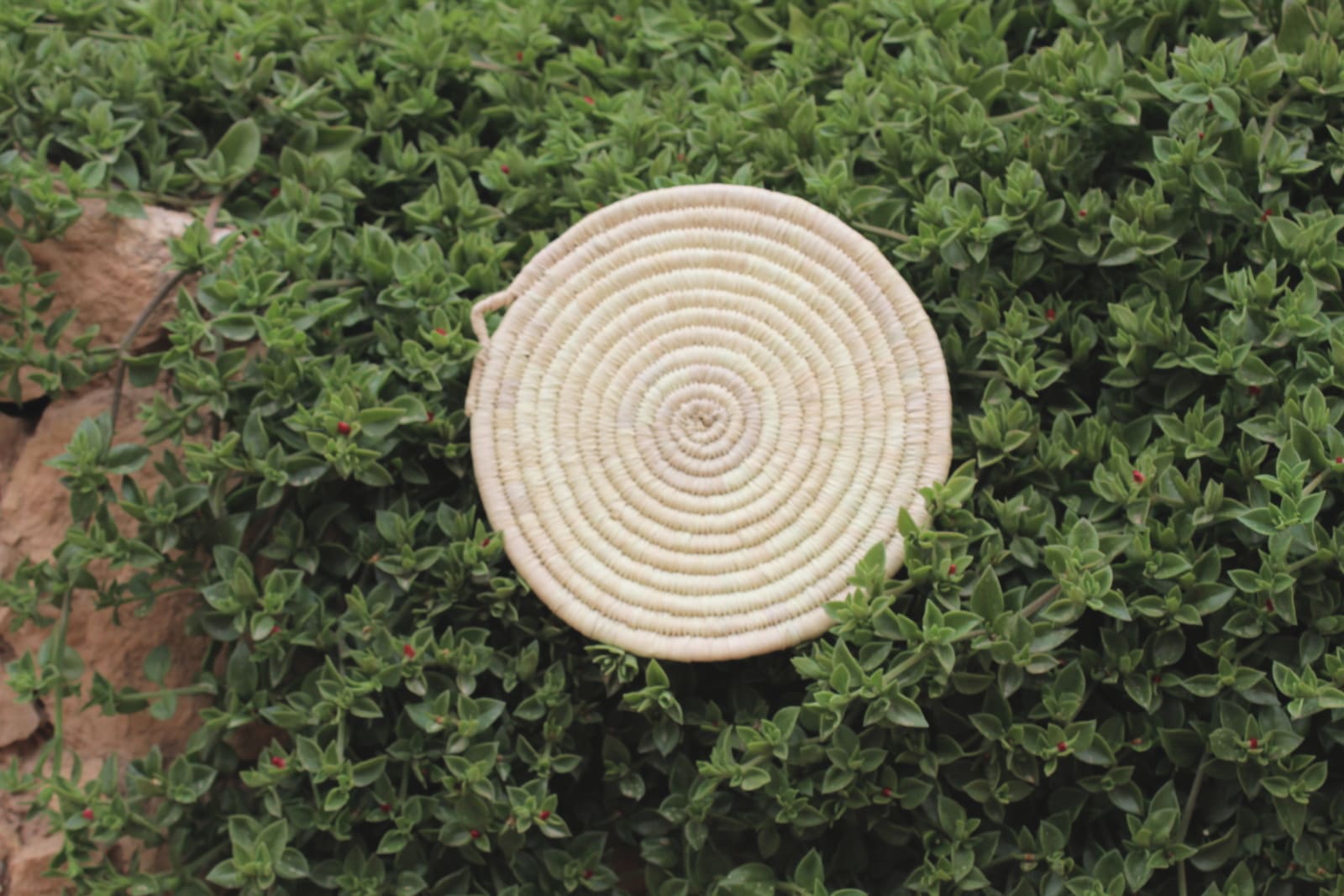  Woven Basket  White Morocco