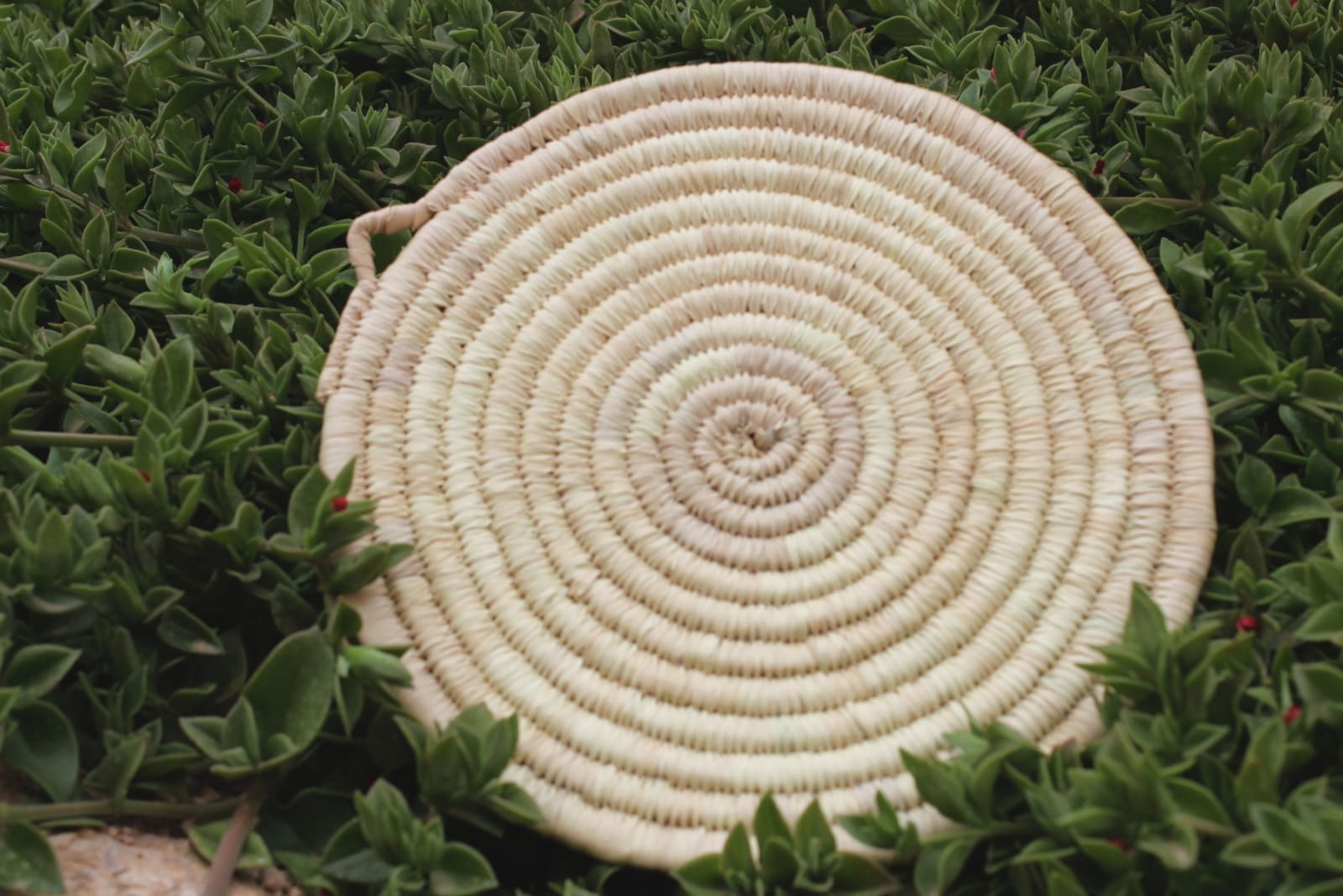  Woven Basket  White Morocco