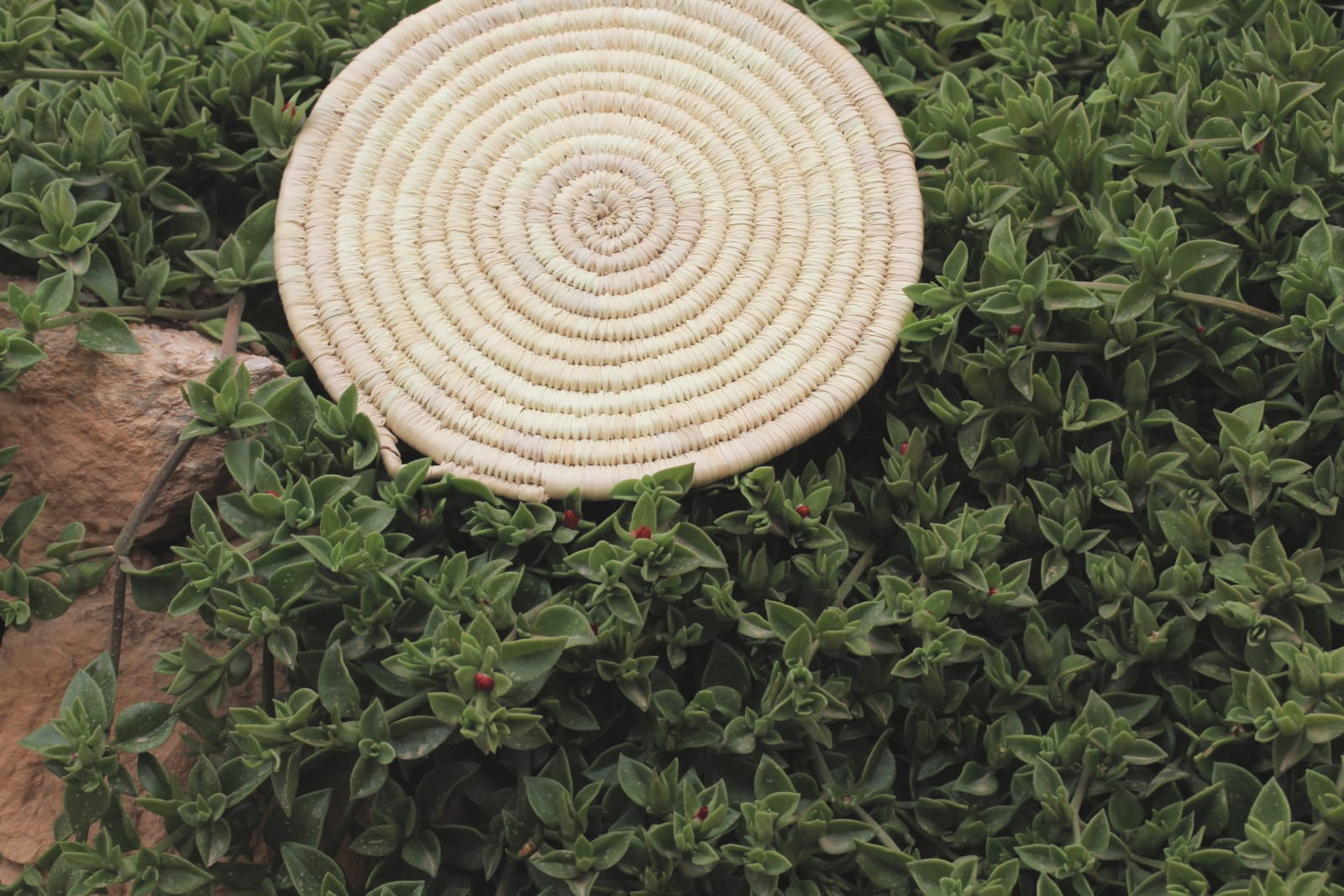  Woven Basket  White Morocco
