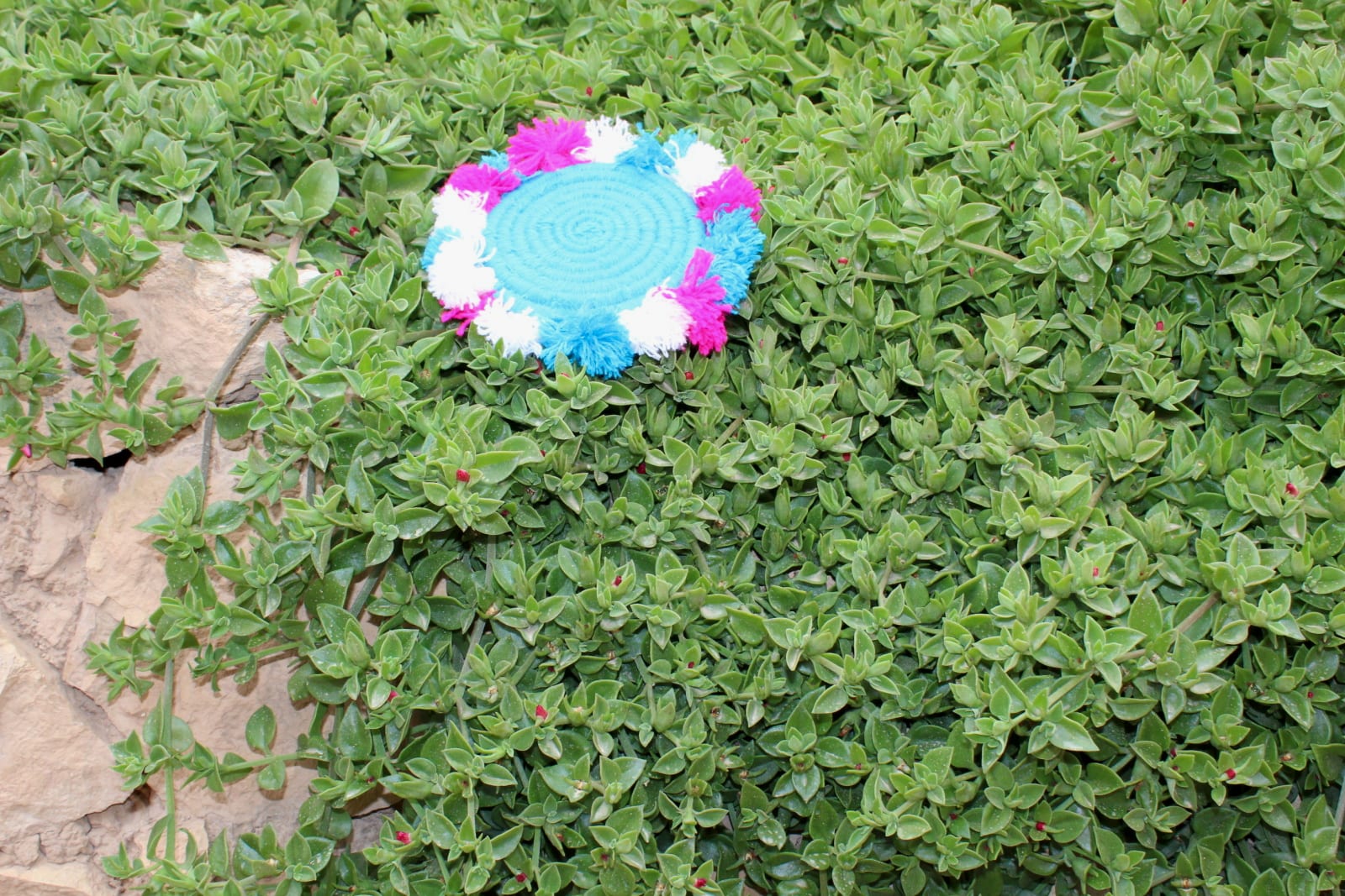 Woven Basket