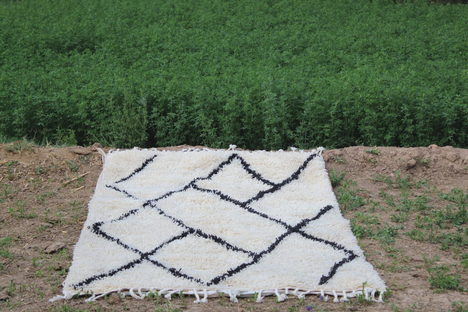 Pile Knot Rug