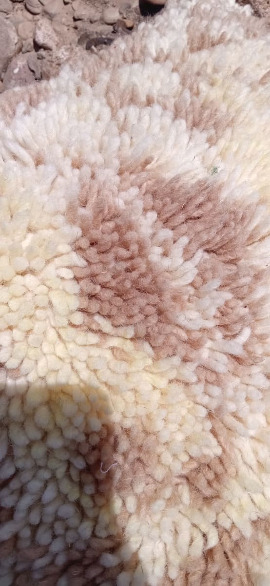 Pillow 