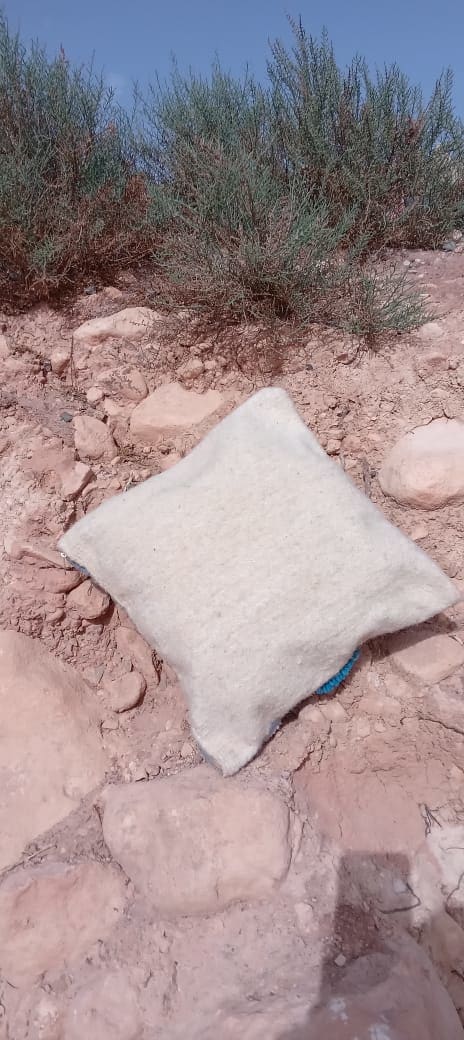 Handmade Flatweave Pillow