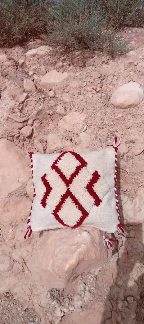 Handmade Flatweave Pillow