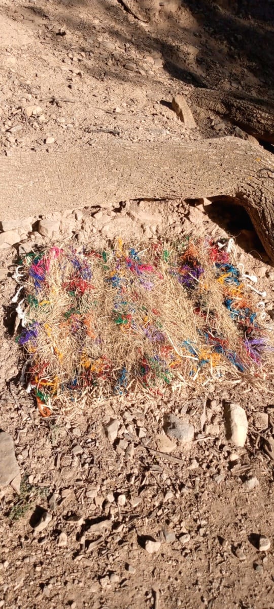  Reed rug  Colored Morocco