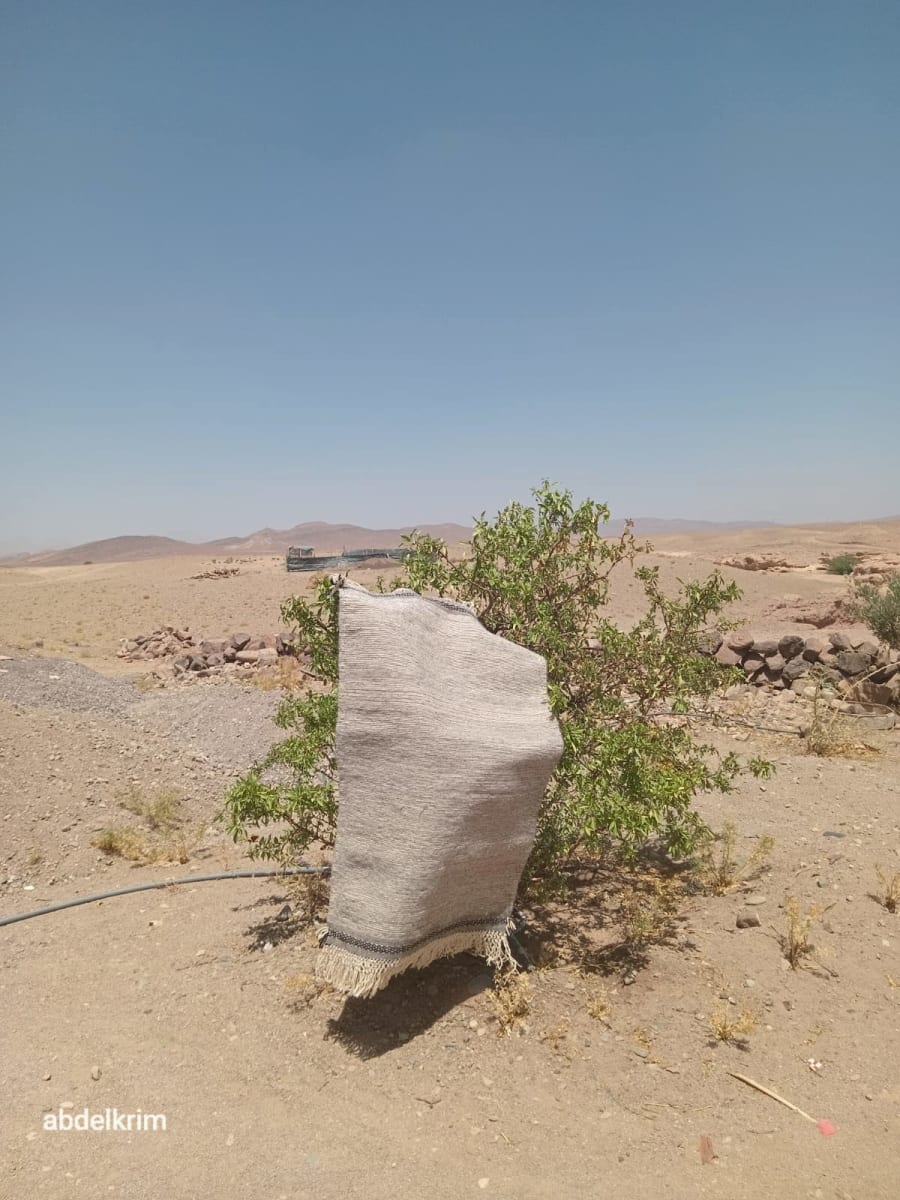  Hanbel  Black, White Morocco