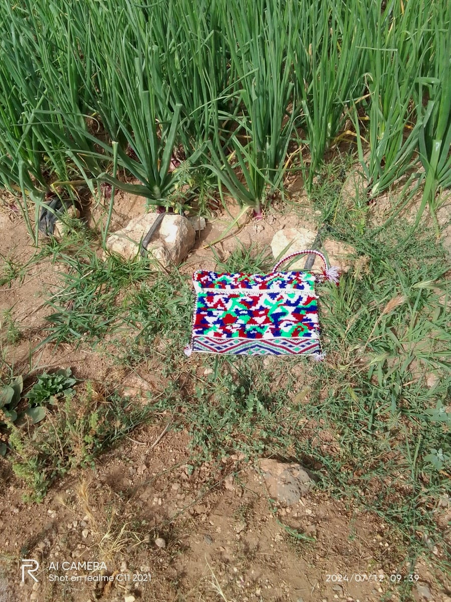  Woven bag Warp and White wool Colored Morocco