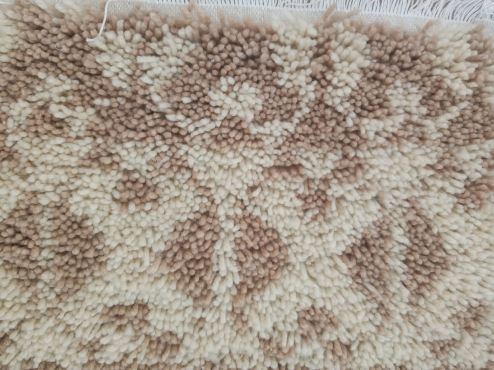  None  Brown, White Morocco