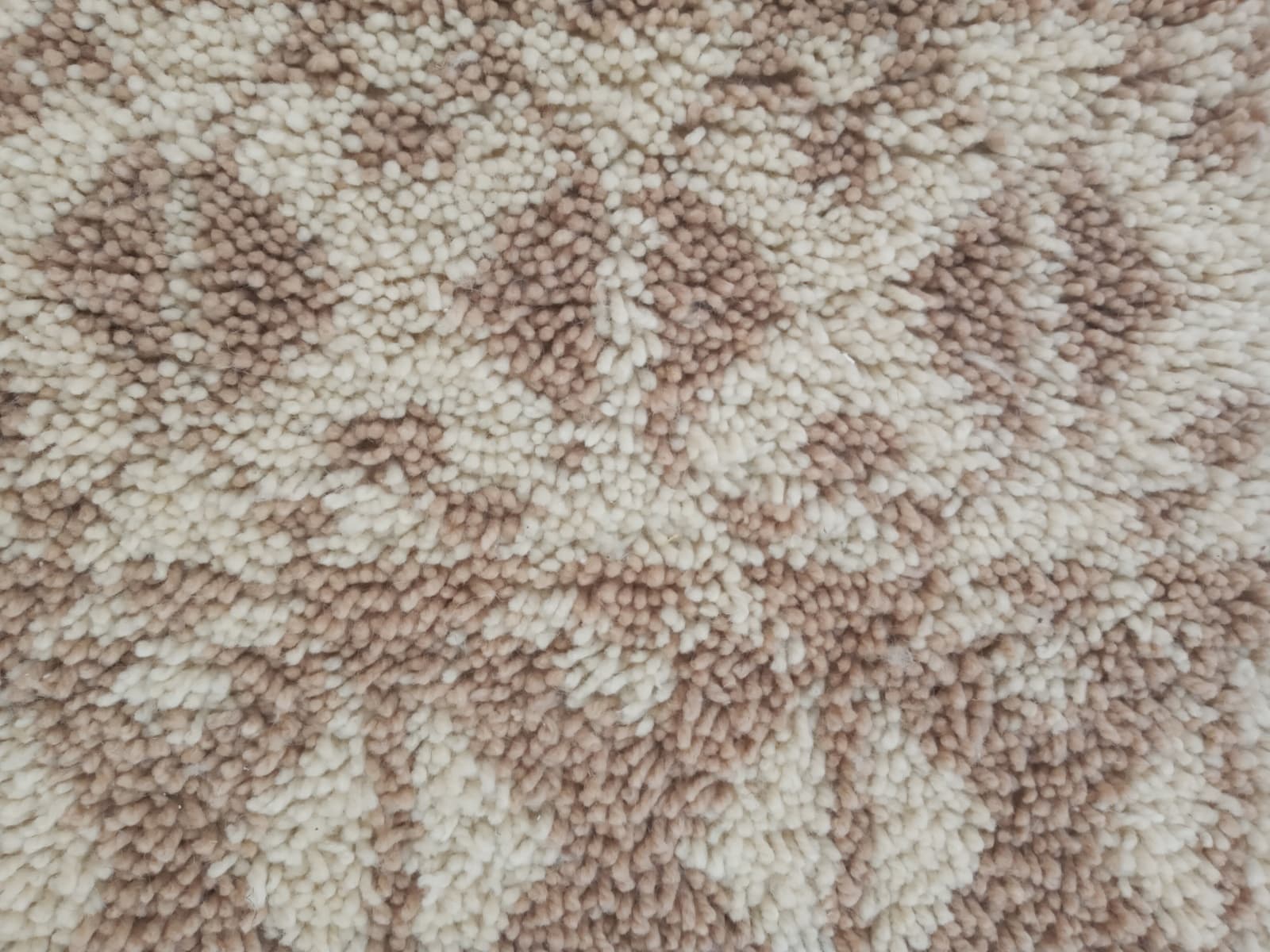  None  Brown, White Morocco