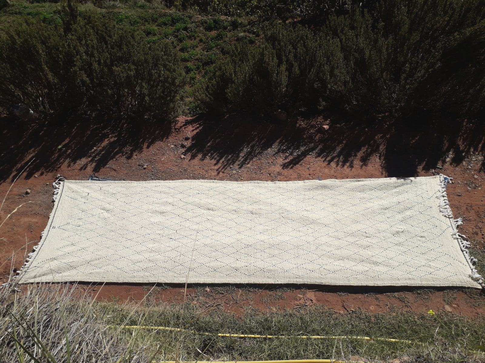  Pile Knot Rug Wool Black, White Morocco