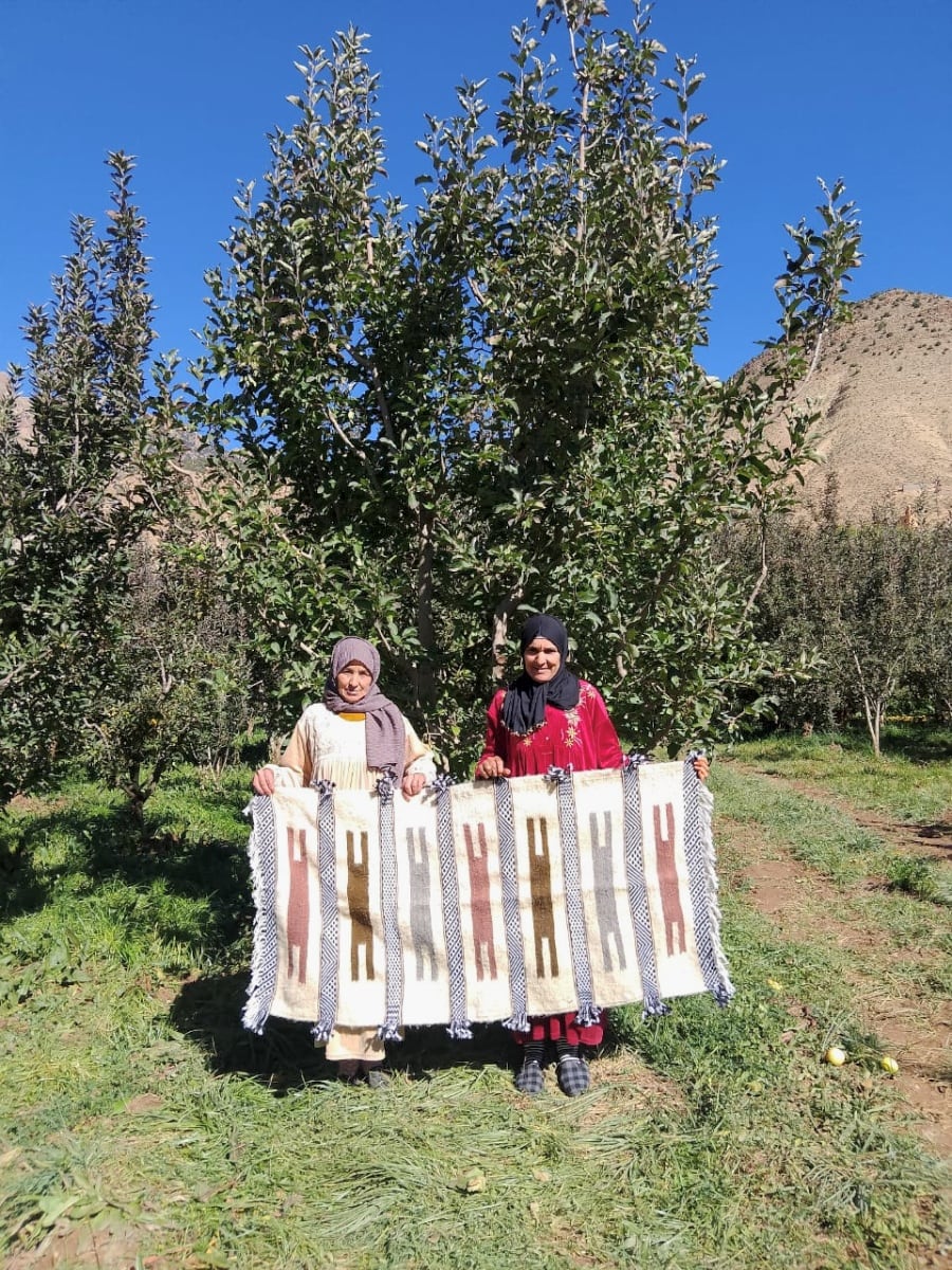  Hanbel Wool Colored Morocco