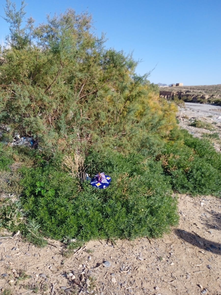  Basket Dyed Wool and Reed Blue, Yellow Morocco