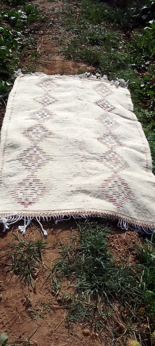  Beni Ourain Rug Wool  and Thread Colored Morocco