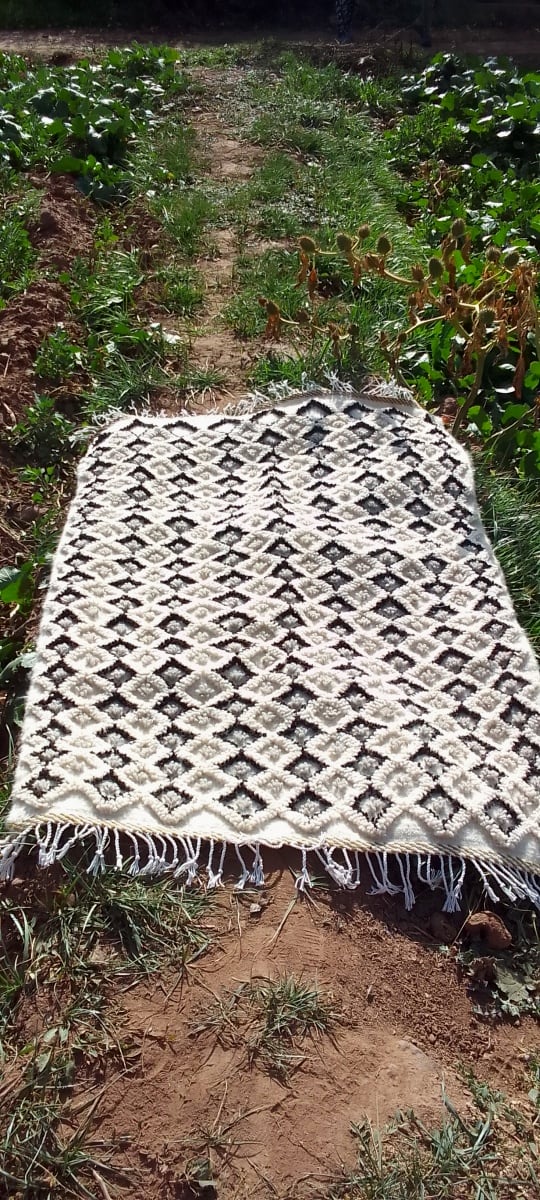  Beni Ourain Rug Wool  and Thread Colored Morocco