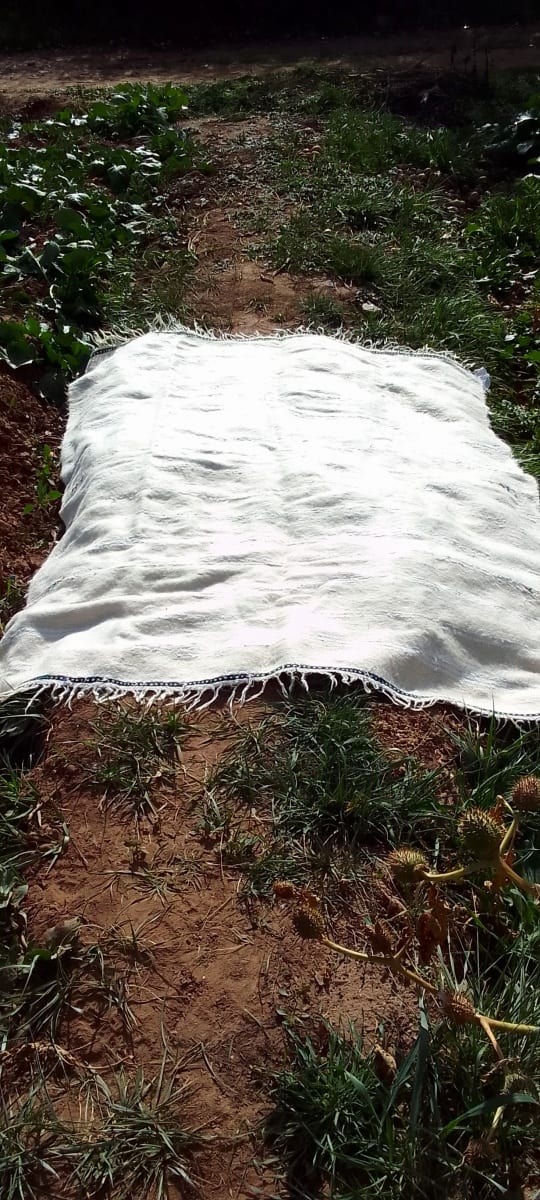 Handira Wedding Blanket