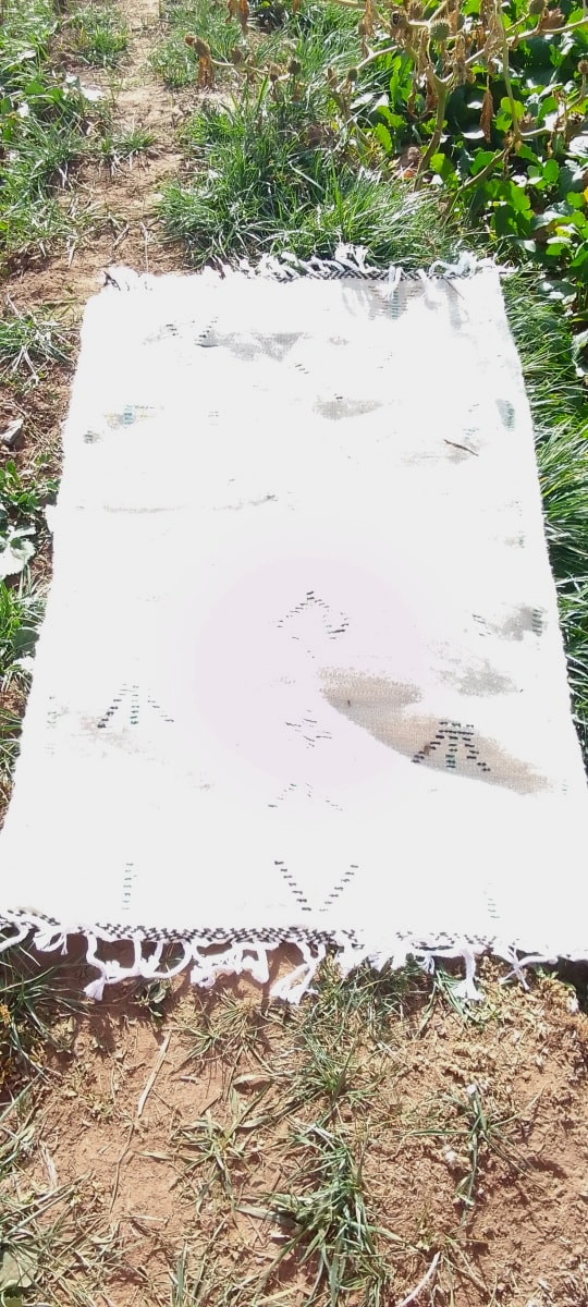  Beni Ourain Rug Wool  and Thread Colored Morocco