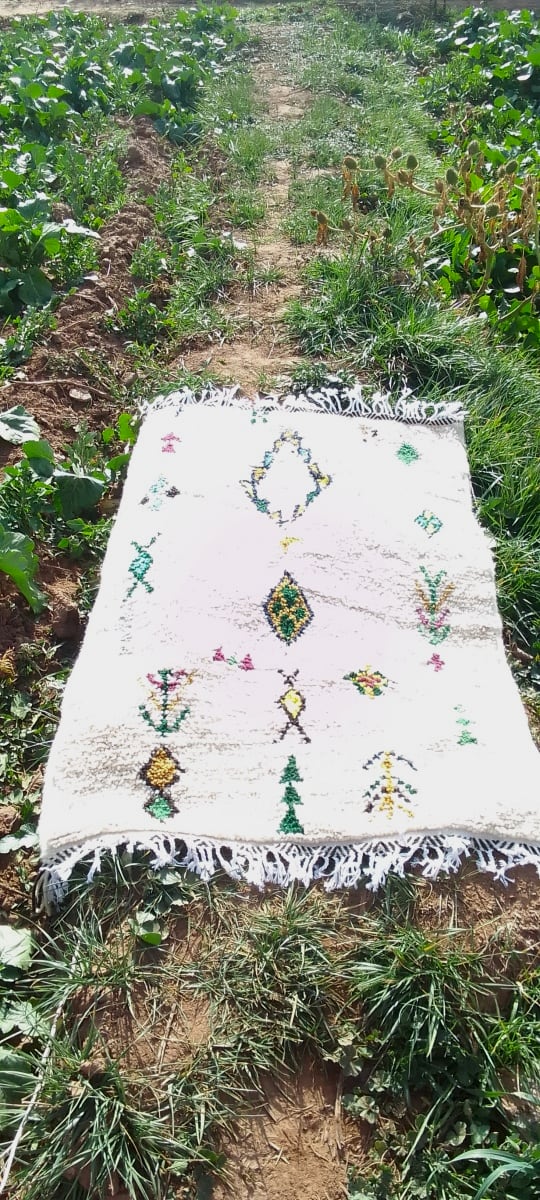  Beni Ourain Rug Wool  and Thread Colored Morocco
