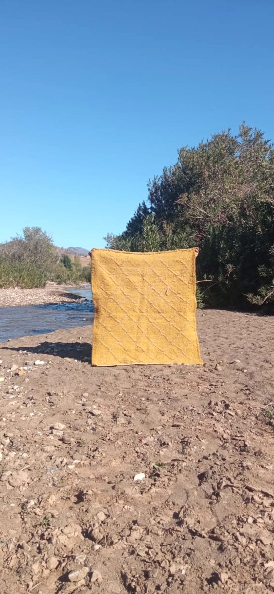 Btaniya Rug