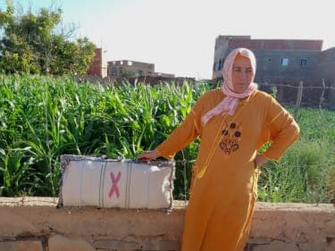  Pillow case Warp and White wool Colored Morocco