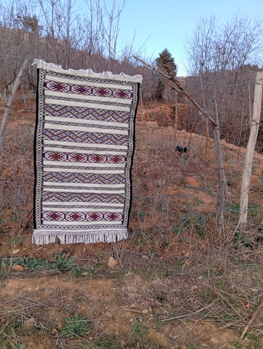  Flatweave  Colored Morocco
