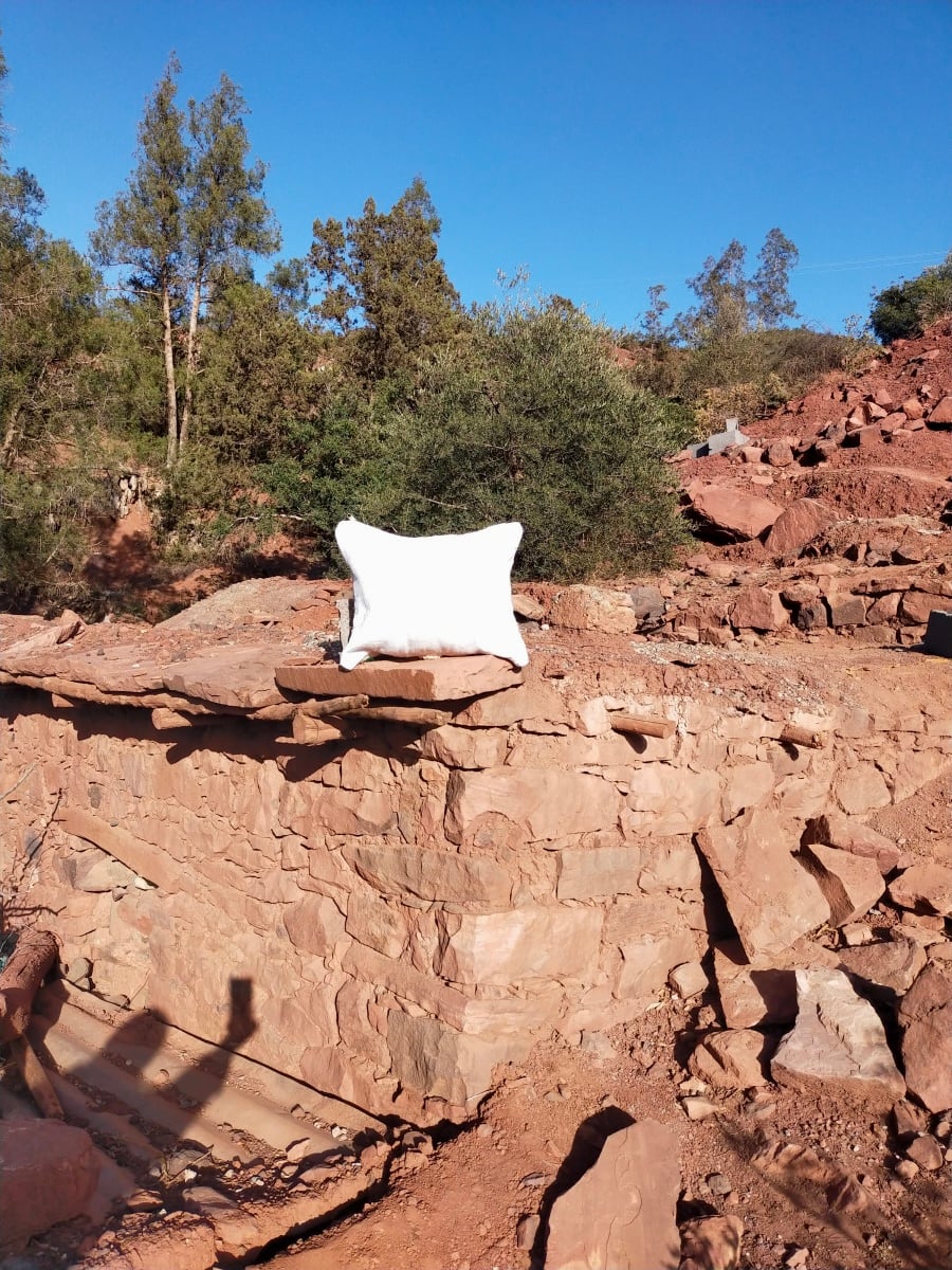 Decorative Pillow