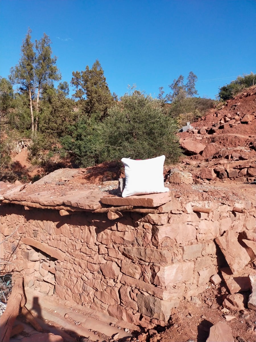 Decorative Pillow