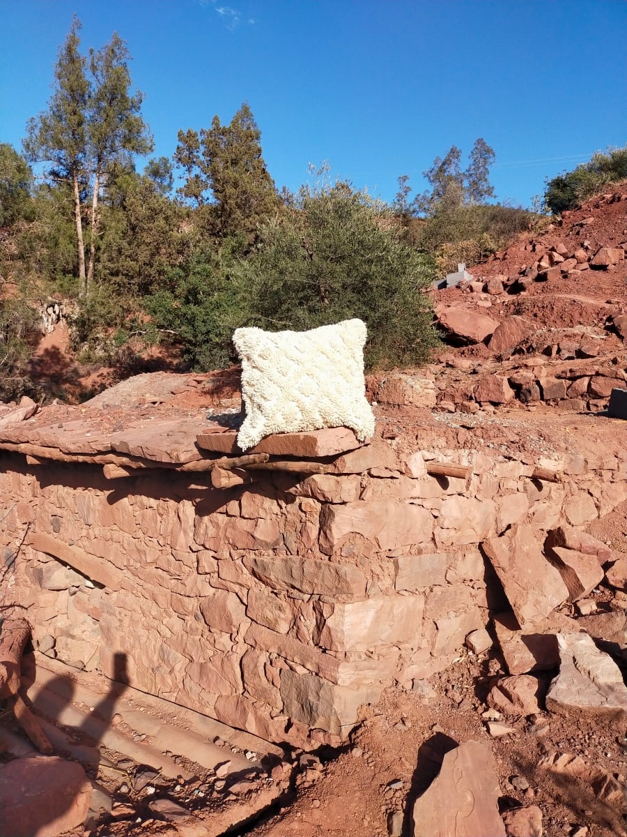 Decorative Pillow