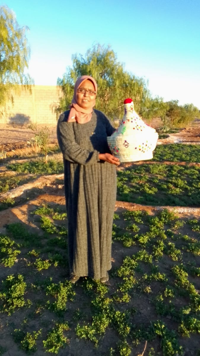  Basket  Colored Morocco