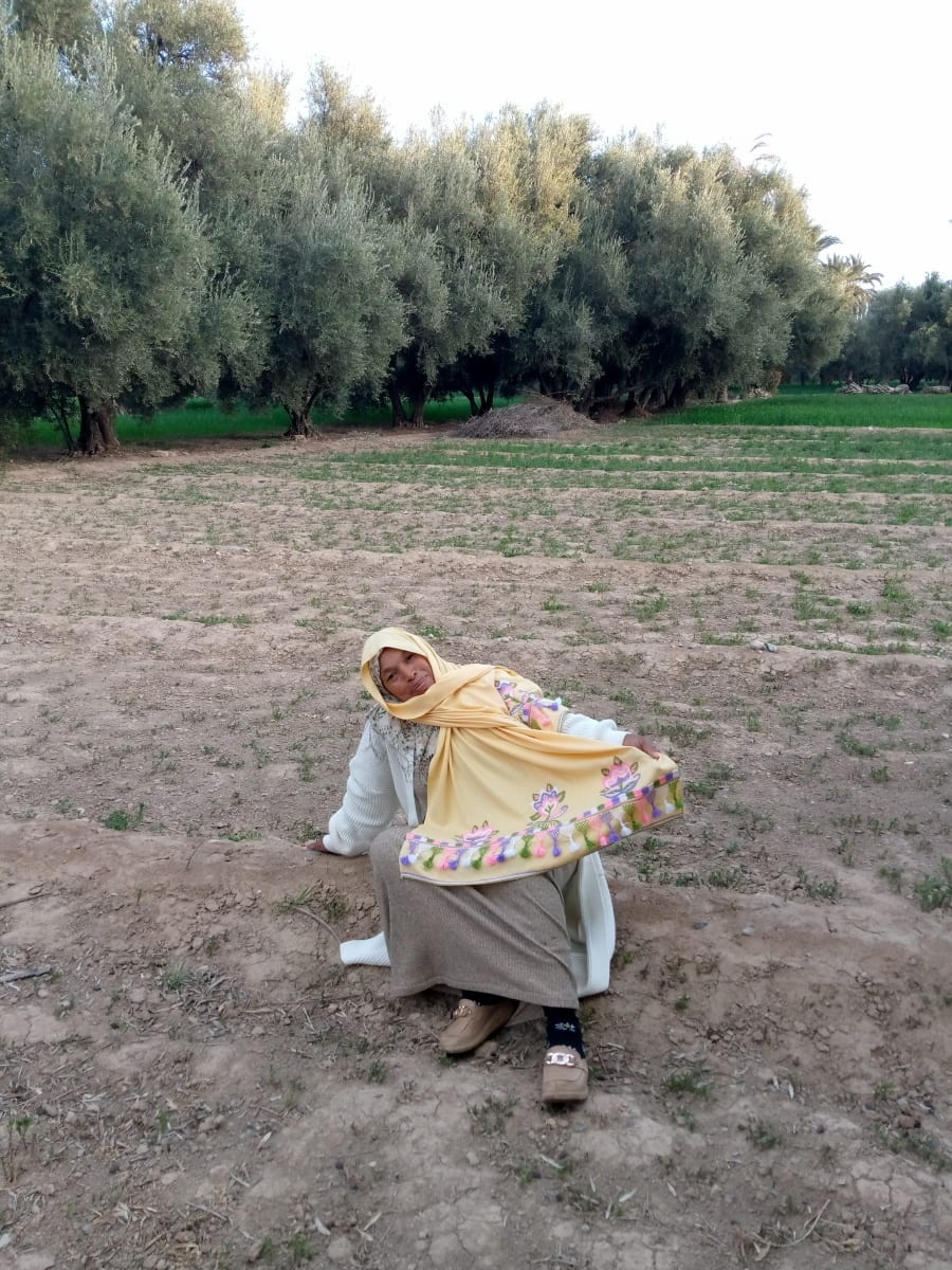 Tahrouit