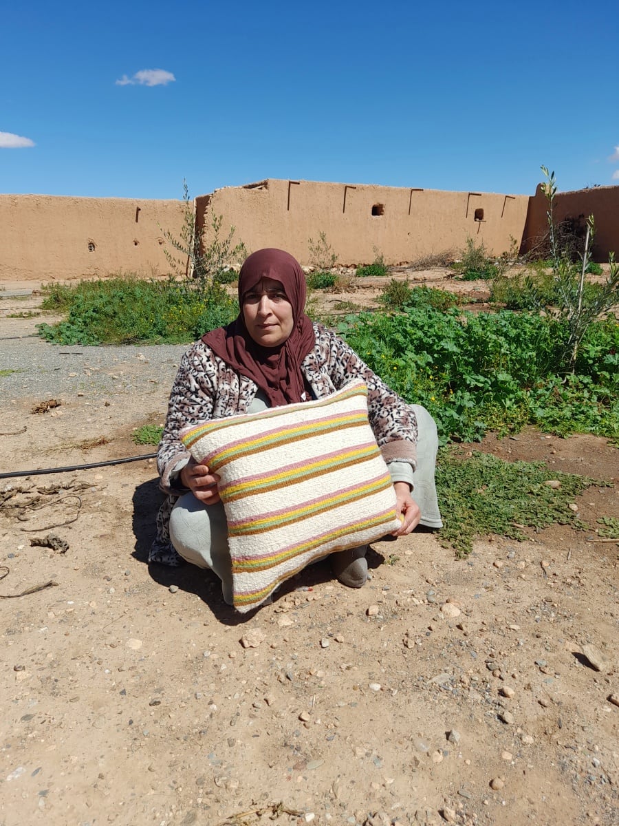  Pillow  and  Colored Morocco