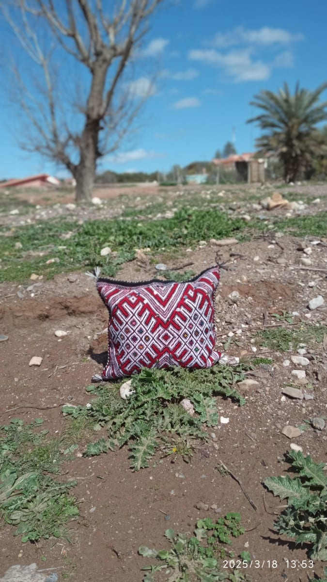 Pillow of wool