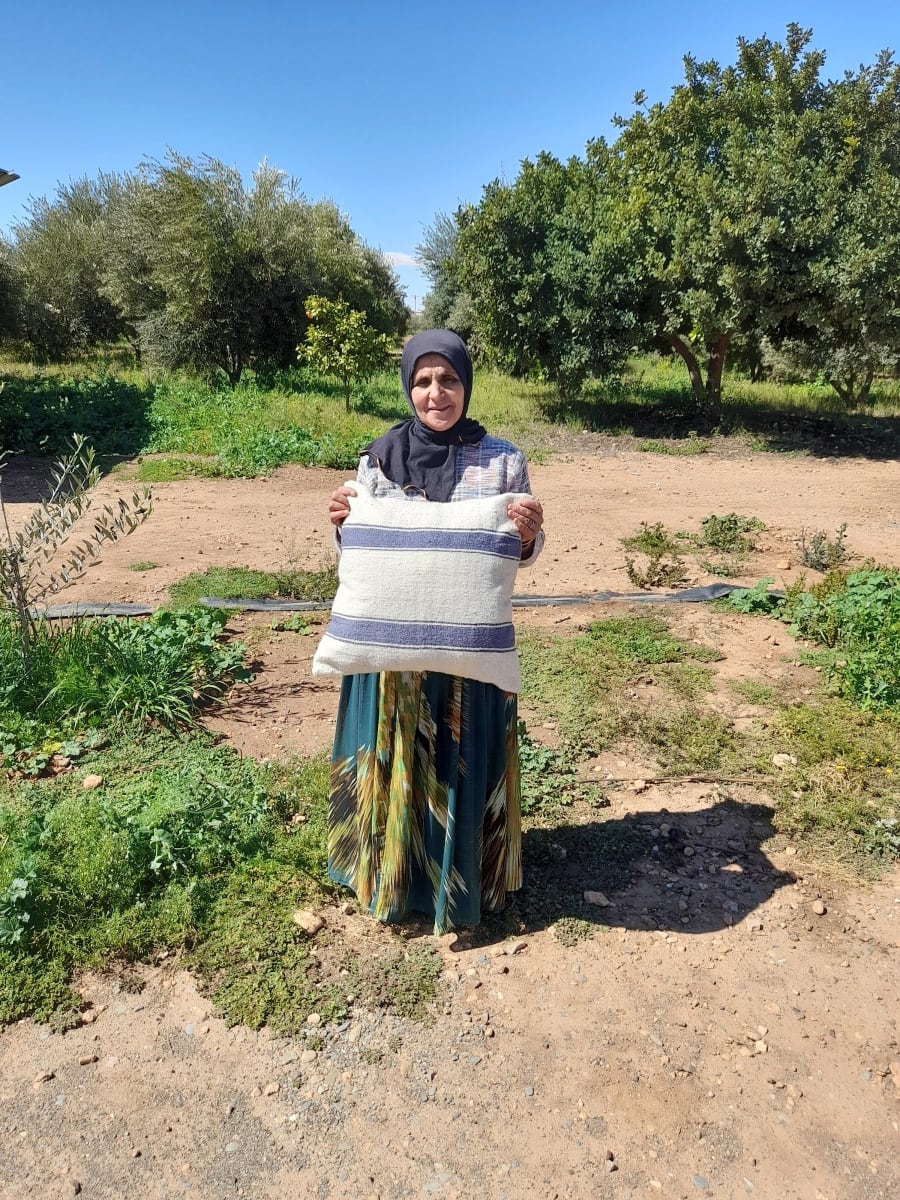  Pillow  and  Grey, White Morocco