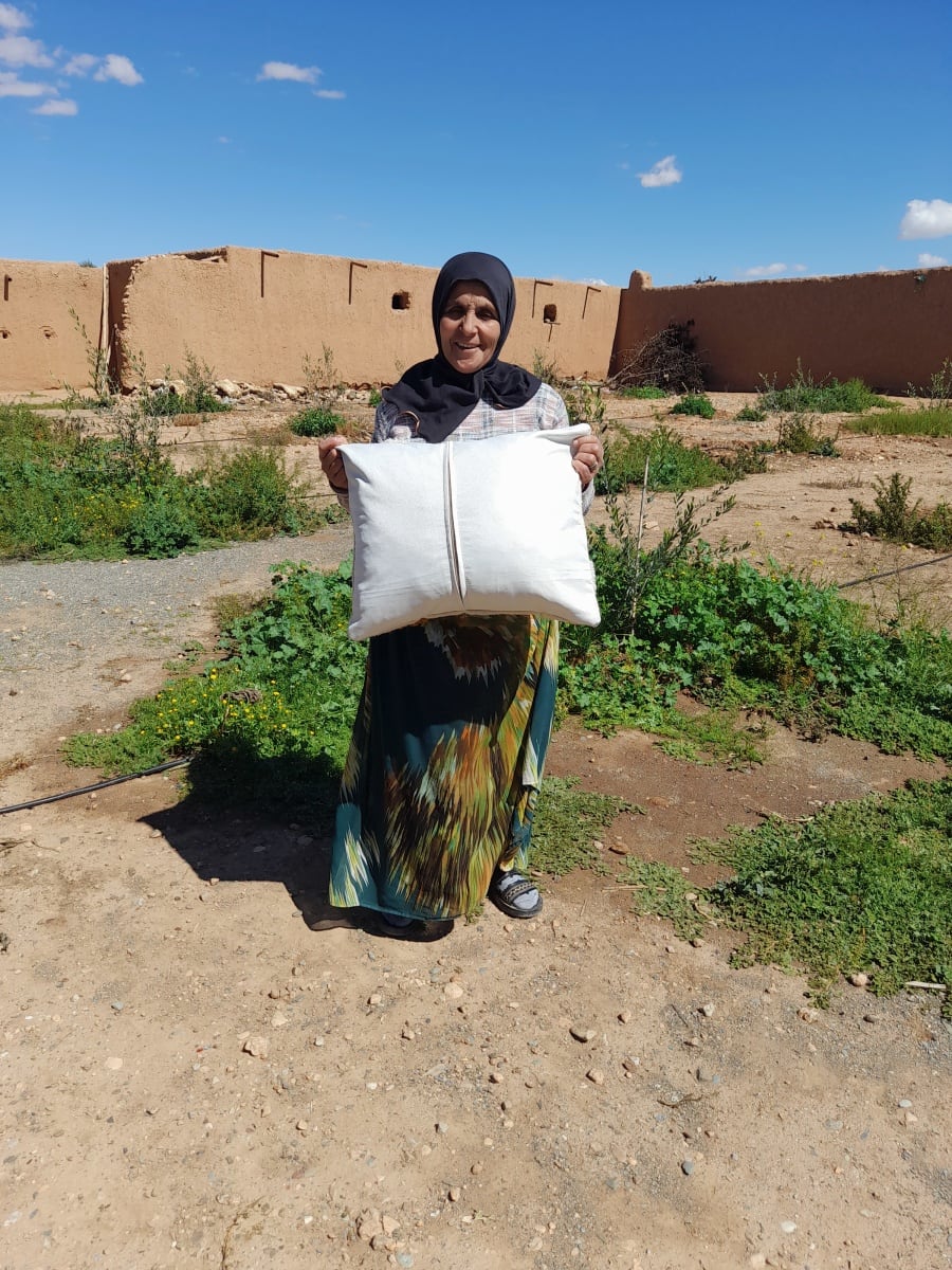  Pillow  Orange, White Morocco