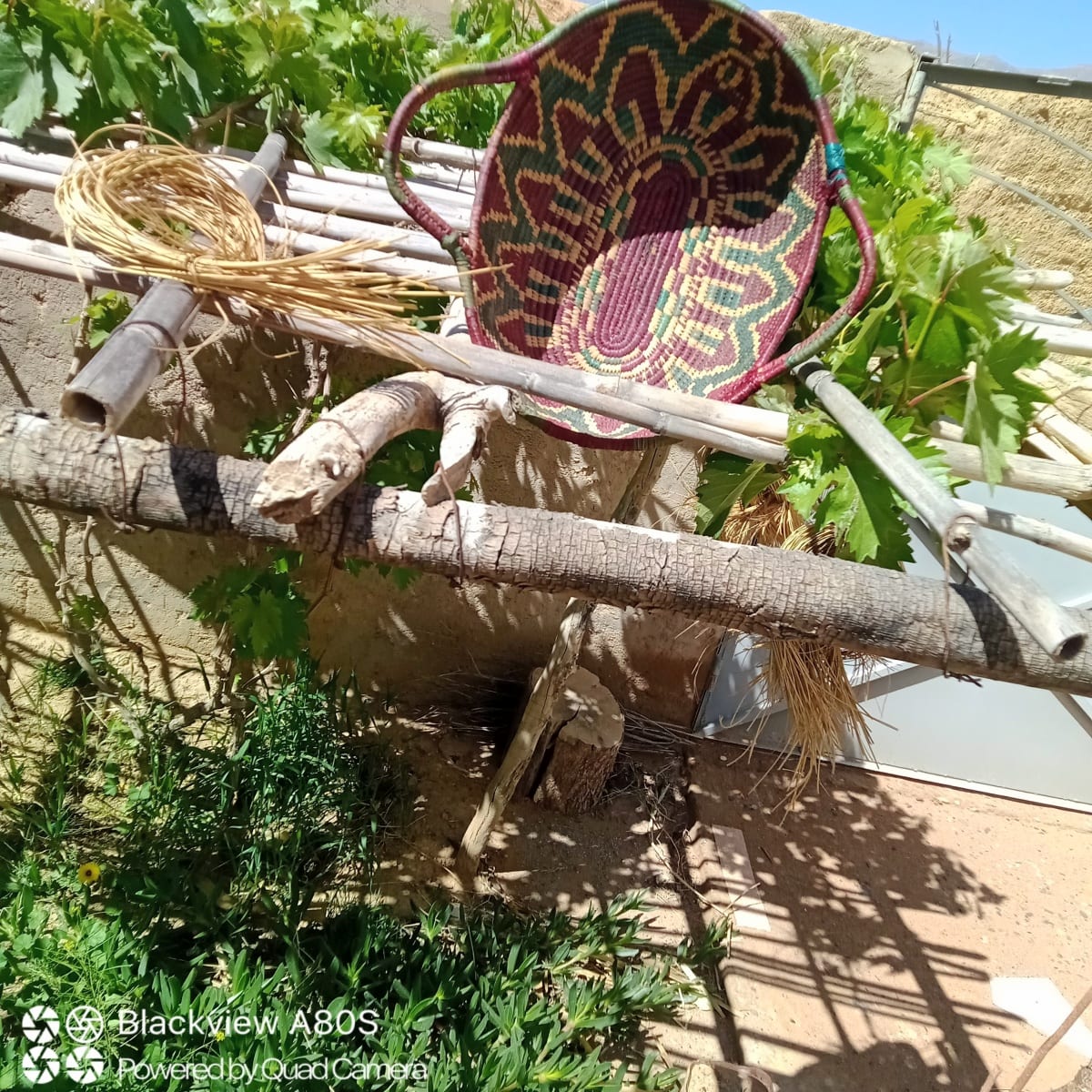  None  Red, Green Morocco