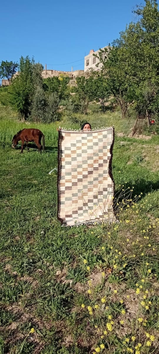  Beni Ourain rug  Colored Morocco