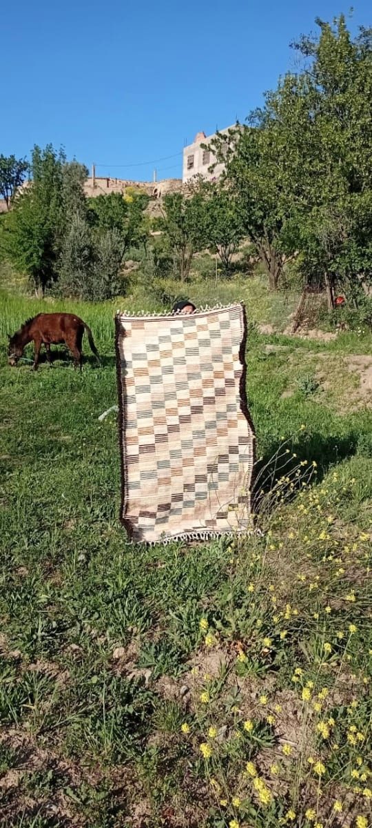  Beni Ourain rug  Colored Morocco