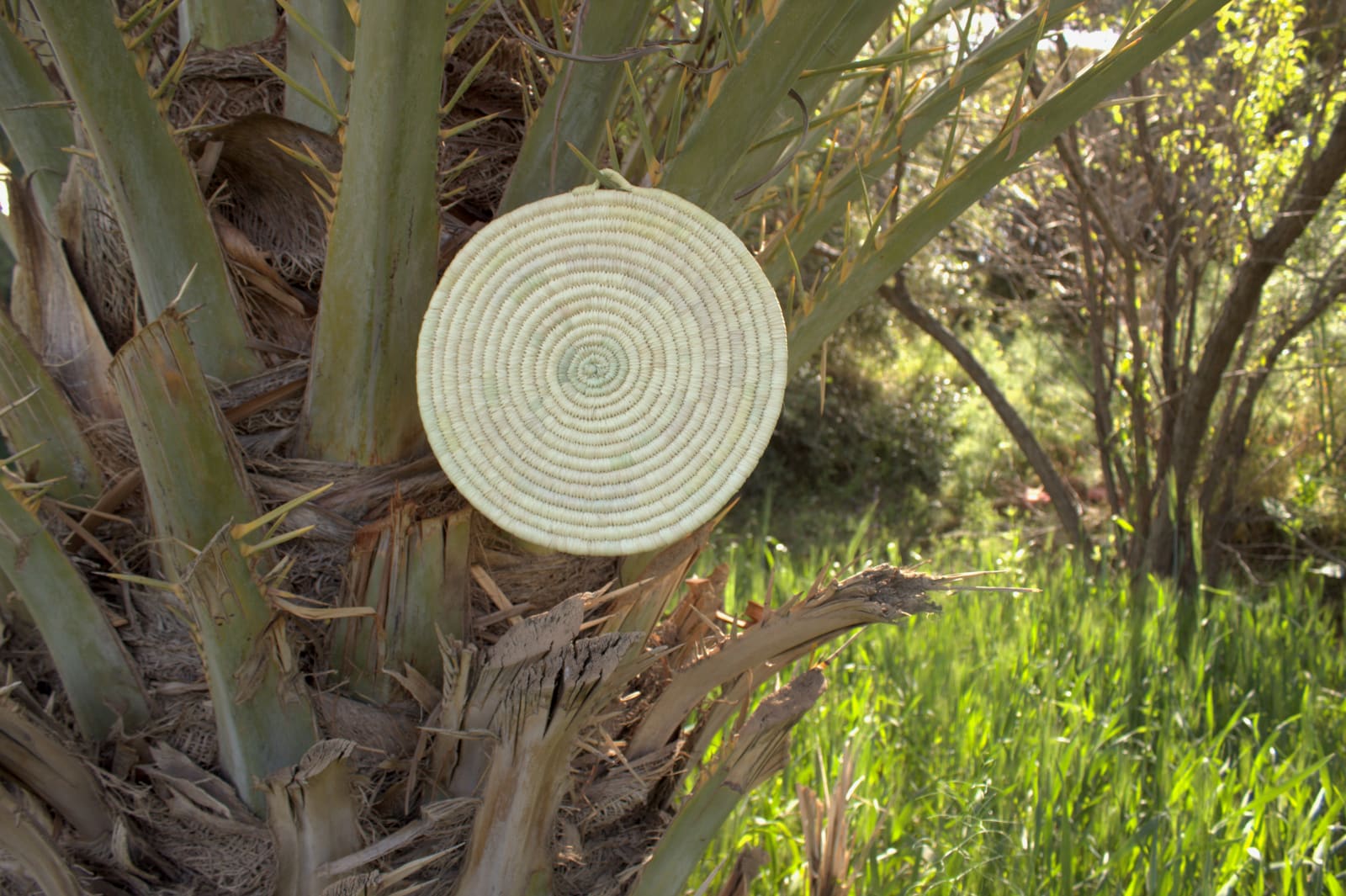  Woven Basket  White Morocco