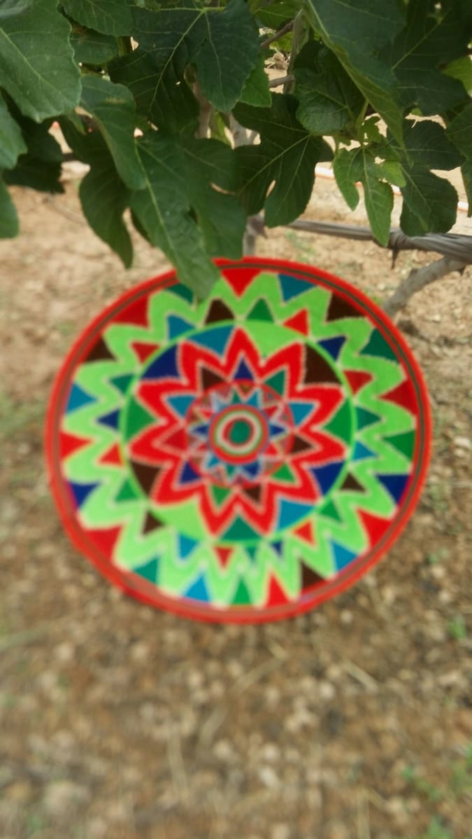  None  Colored Morocco