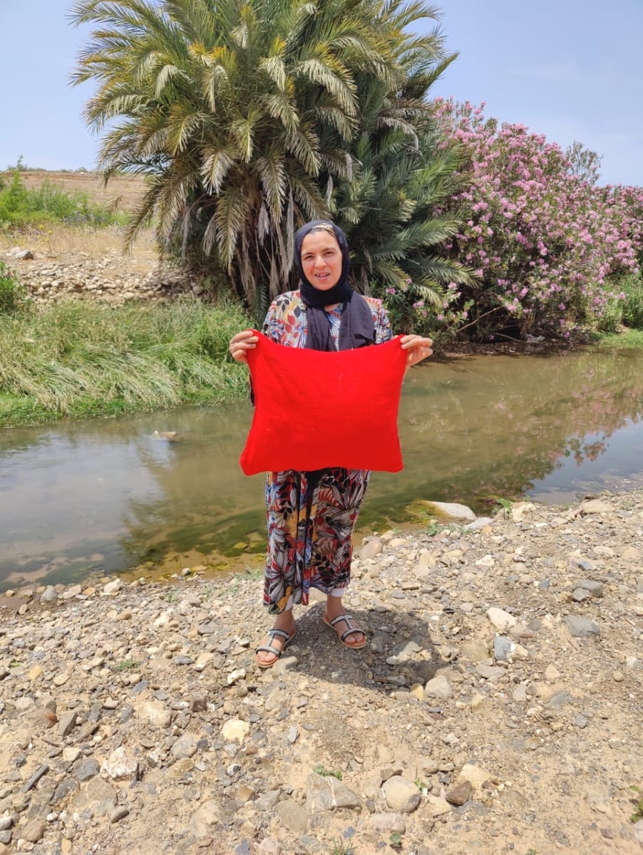  Pillow  Dyed Wool and Cotton Red, Yellow Morocco
